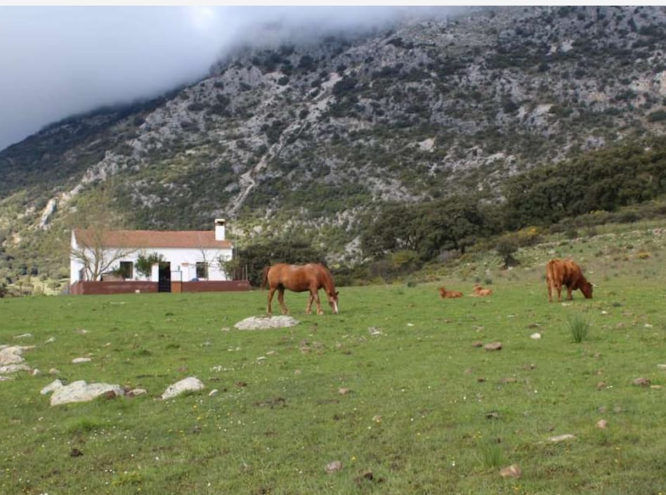 Chalé en venta en Málaga 1