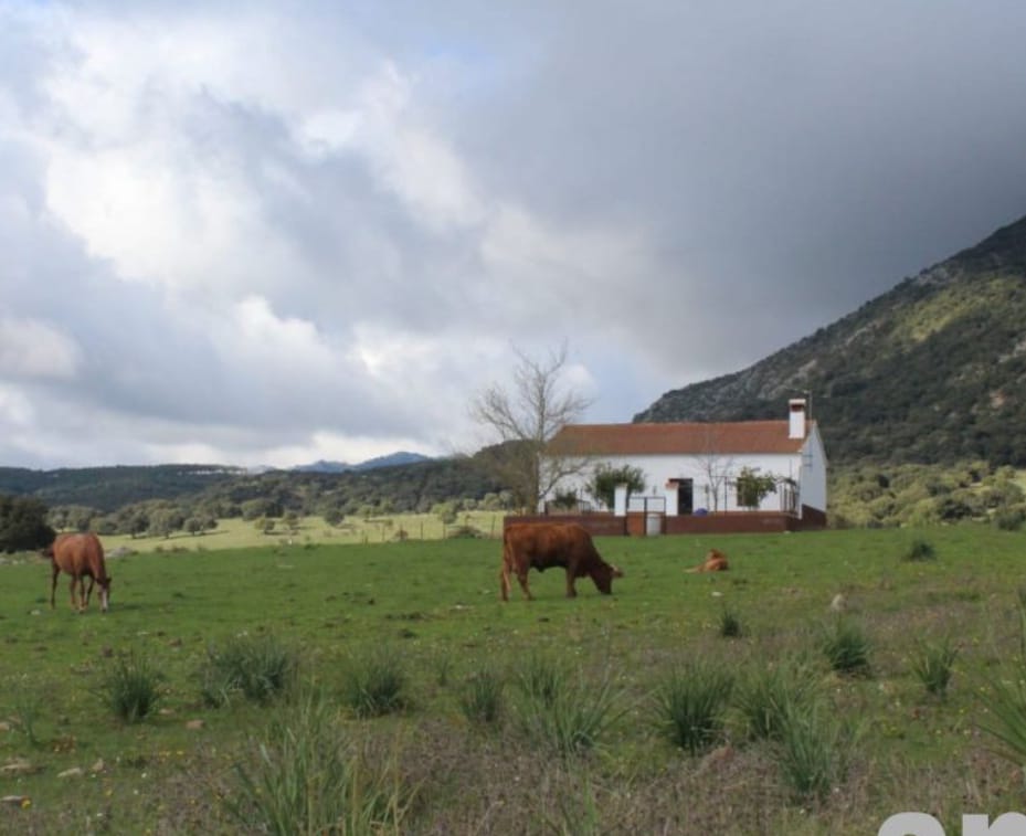 Villa à vendre à Málaga 3