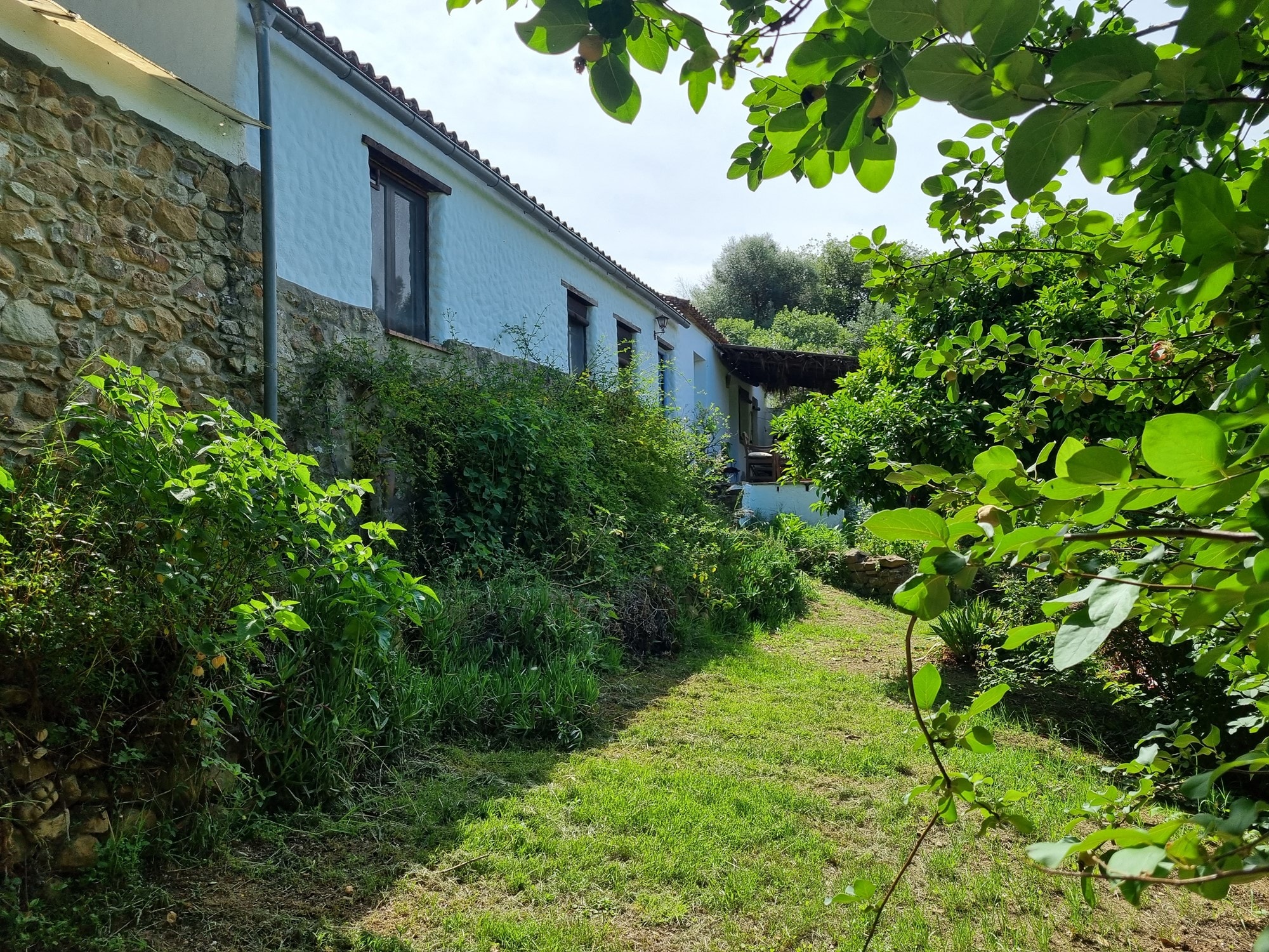 Landhaus zum Verkauf in Málaga 23