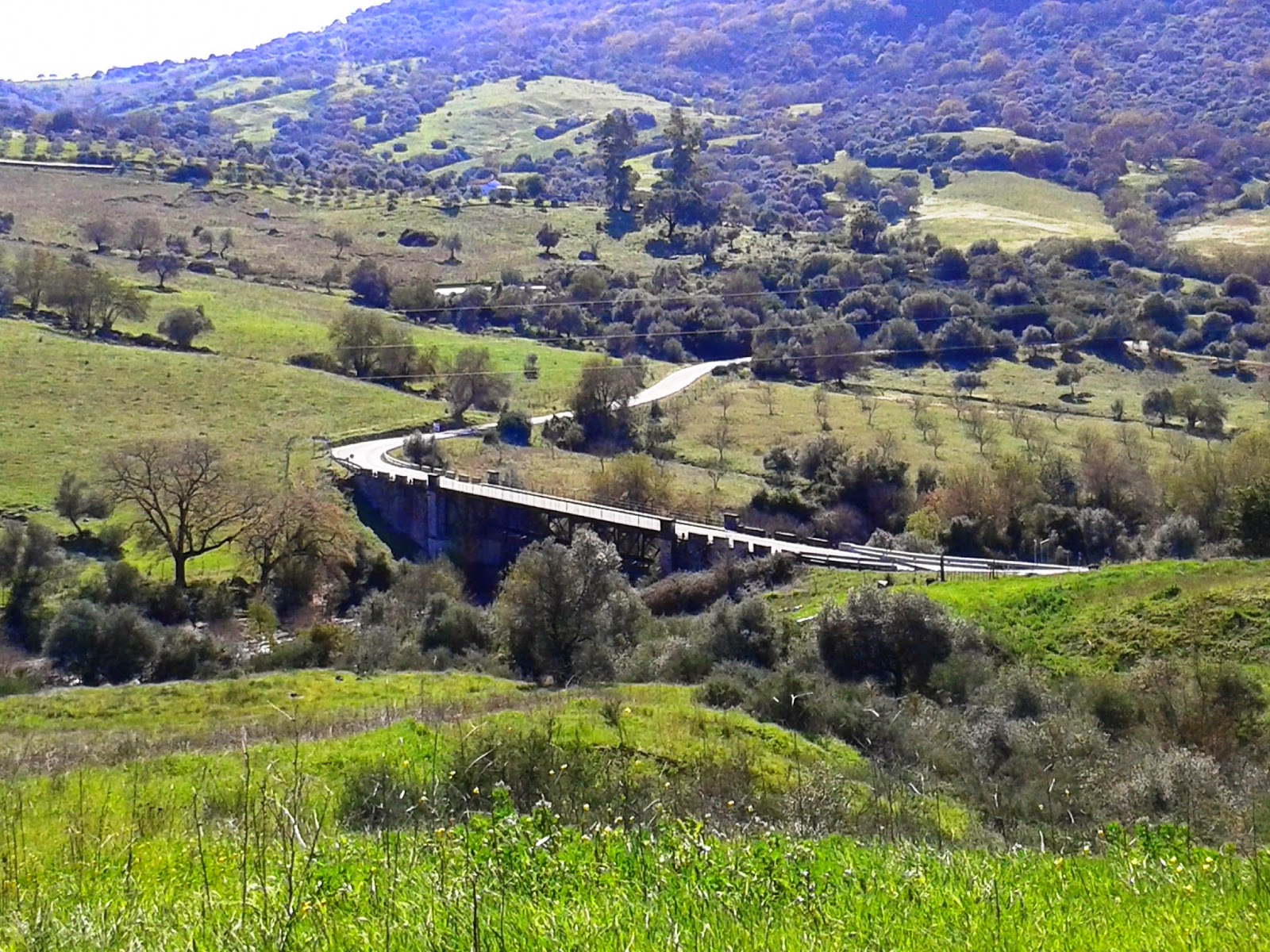 Landhaus zum Verkauf in Málaga 31