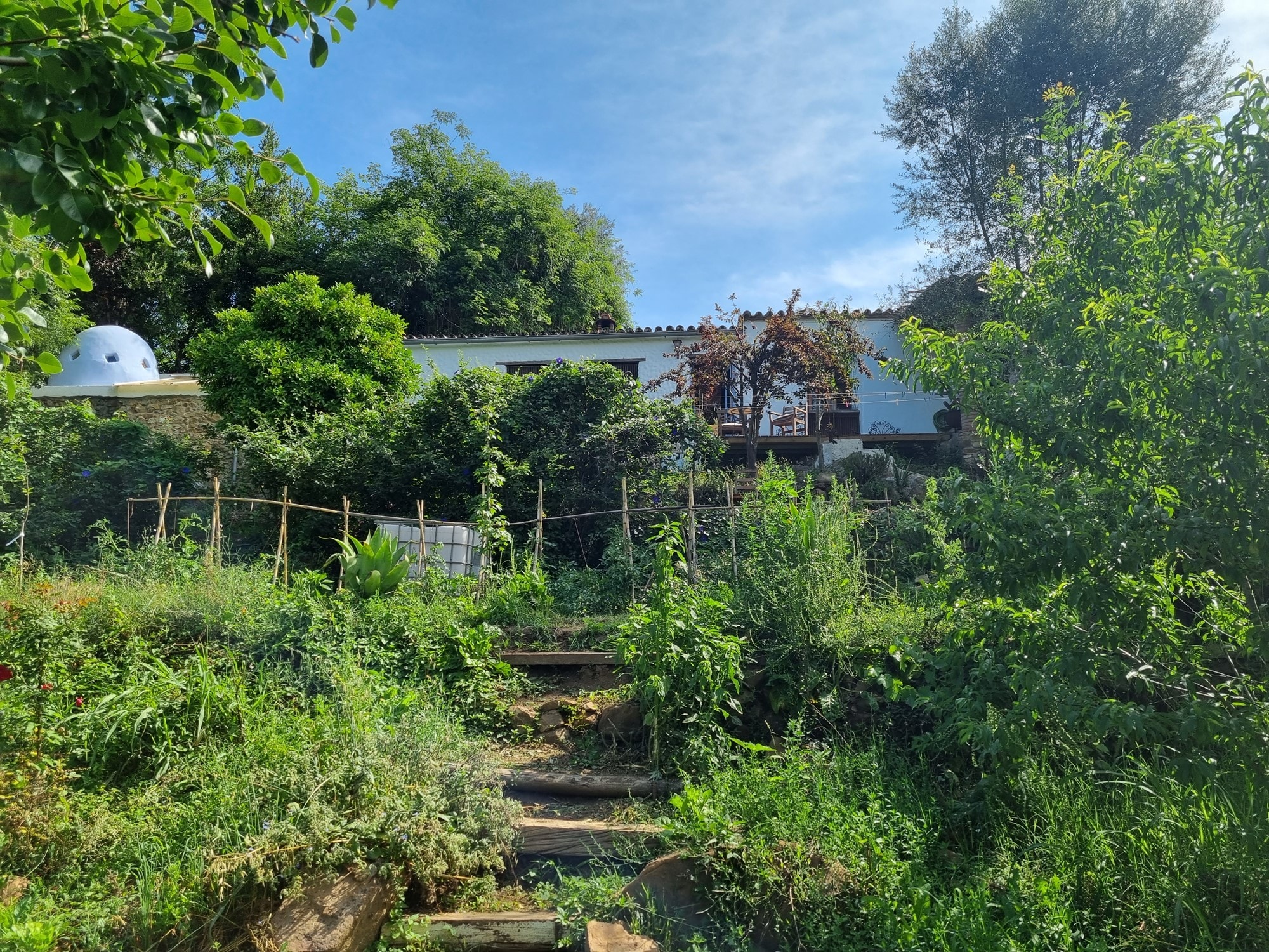 Casas de Campo en venta en Málaga 5