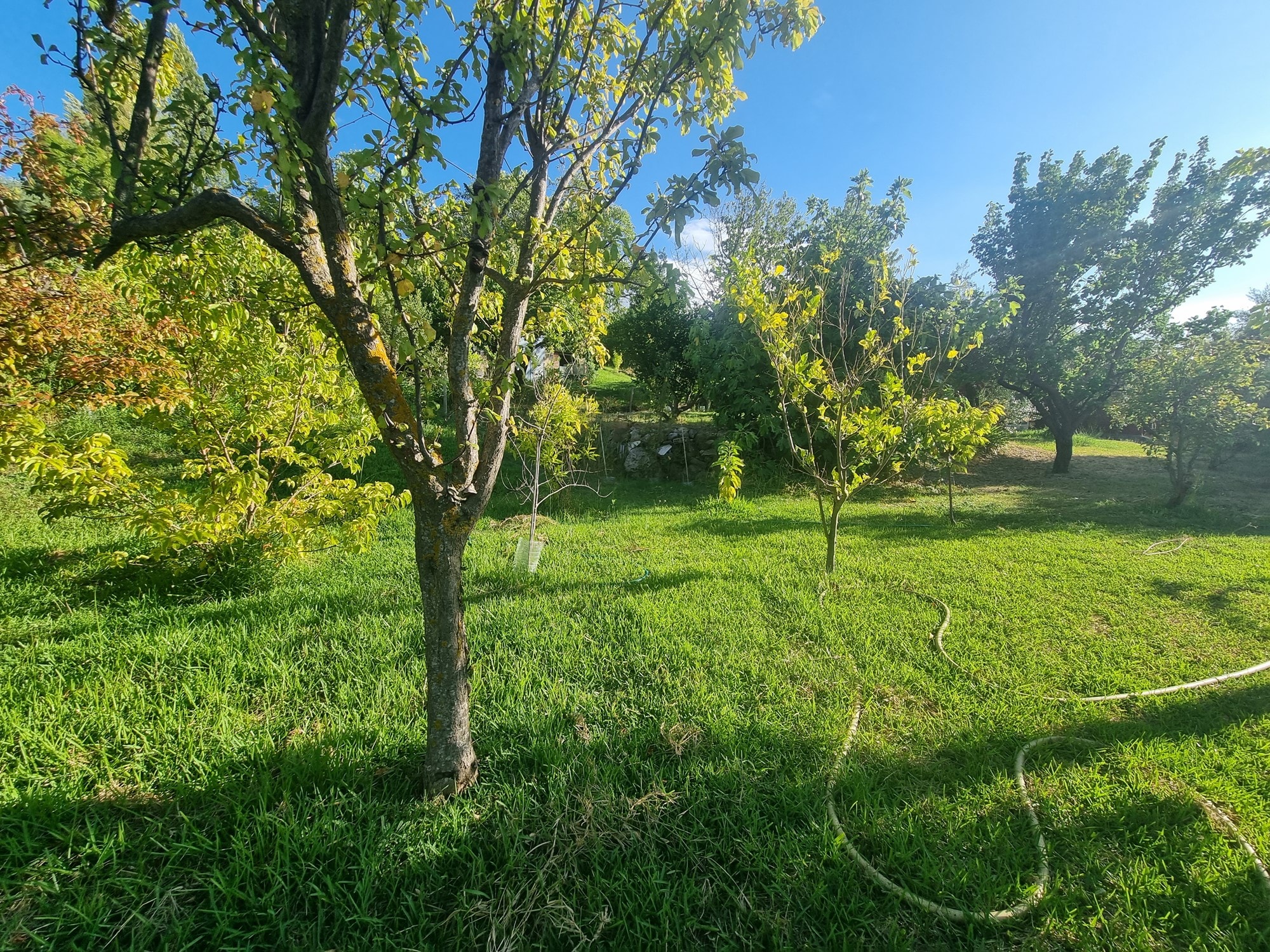 Casas de Campo en venta en Málaga 30