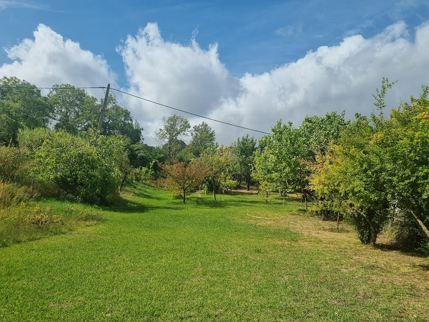 Casas de Campo en venta en Málaga 5