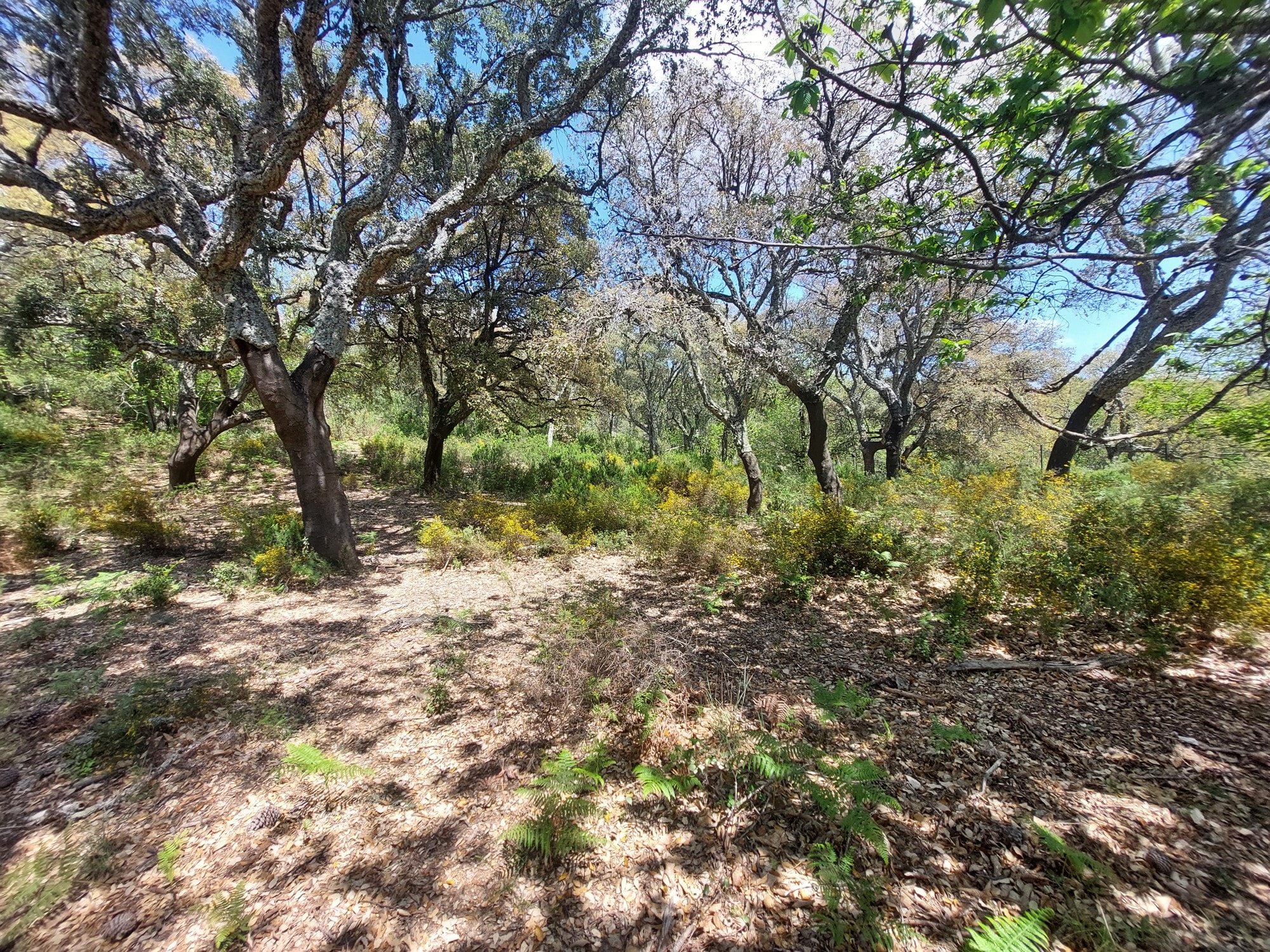 Plot for sale in Málaga 20