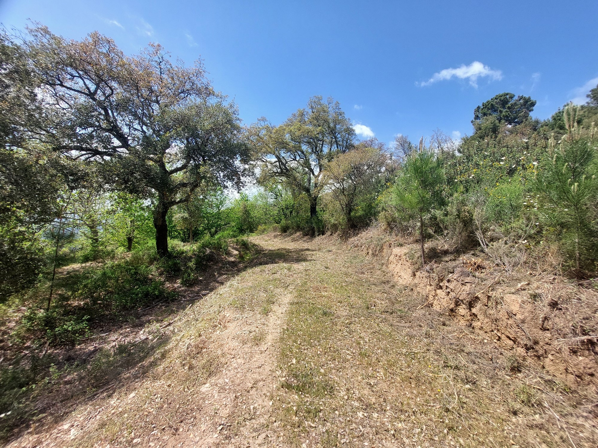 Plot for sale in Málaga 24