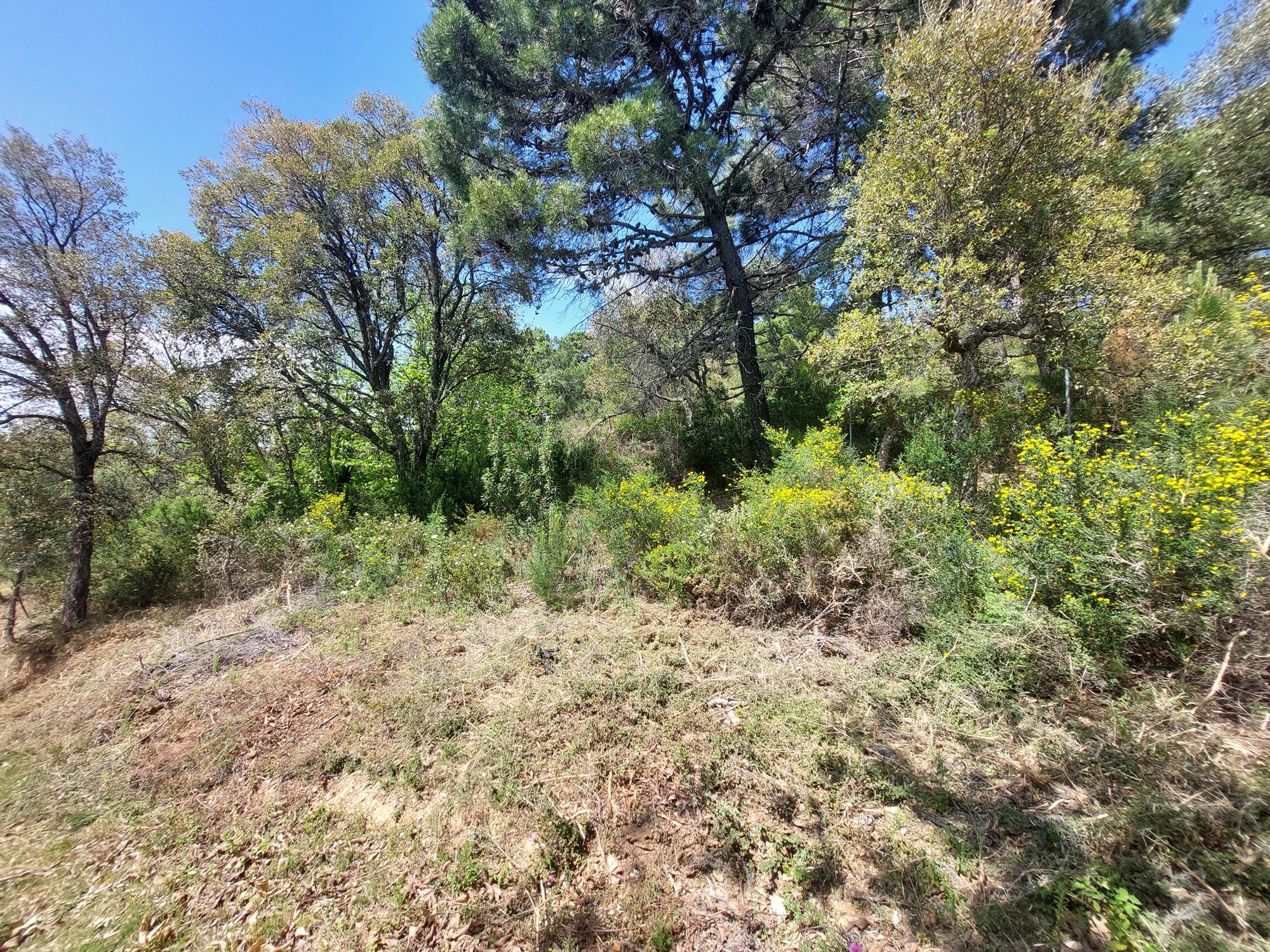 Plot for sale in Málaga 8