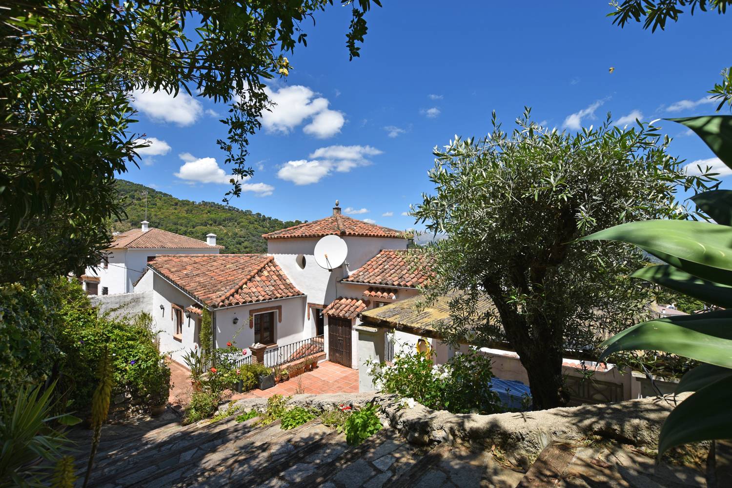 Property Image 621118-benarraba-villa-2-2