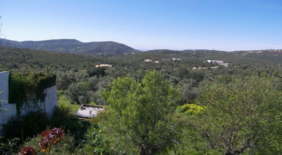 Plot for sale in Faro 3