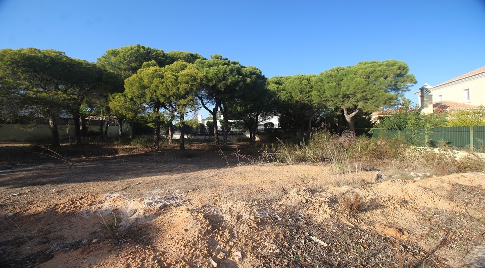 Property Image 621161-loule--sao-sebastiao-plot