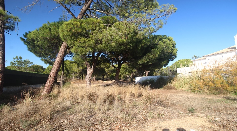 Property Image 621162-loule--sao-sebastiao-plot