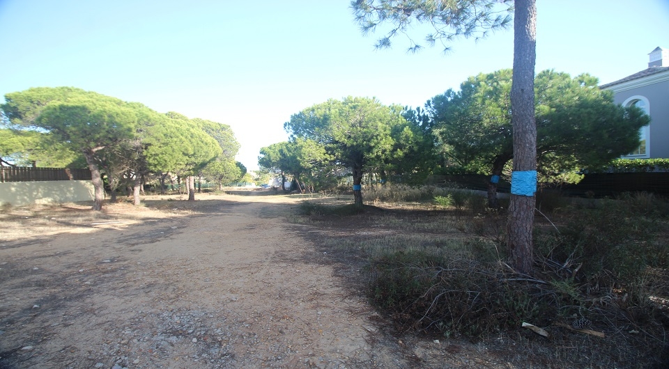 Property Image 621163-loule--sao-sebastiao-plot