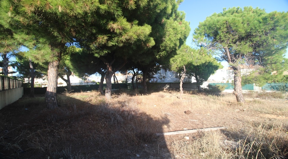 Property Image 621164-loule--sao-sebastiao-plot