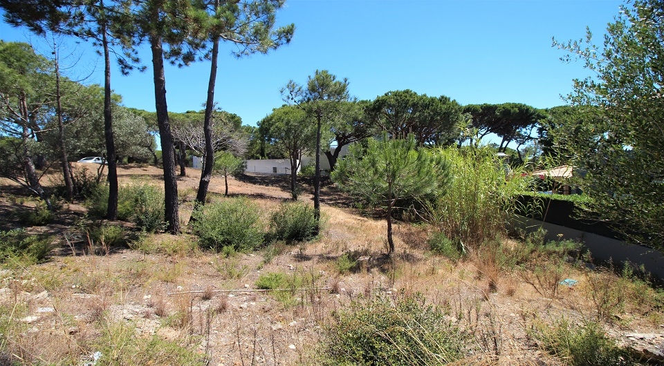 Property Image 621176-loule--sao-sebastiao-plot