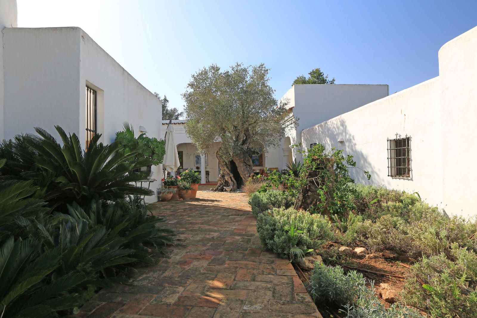 Villa à vendre à Ibiza 38