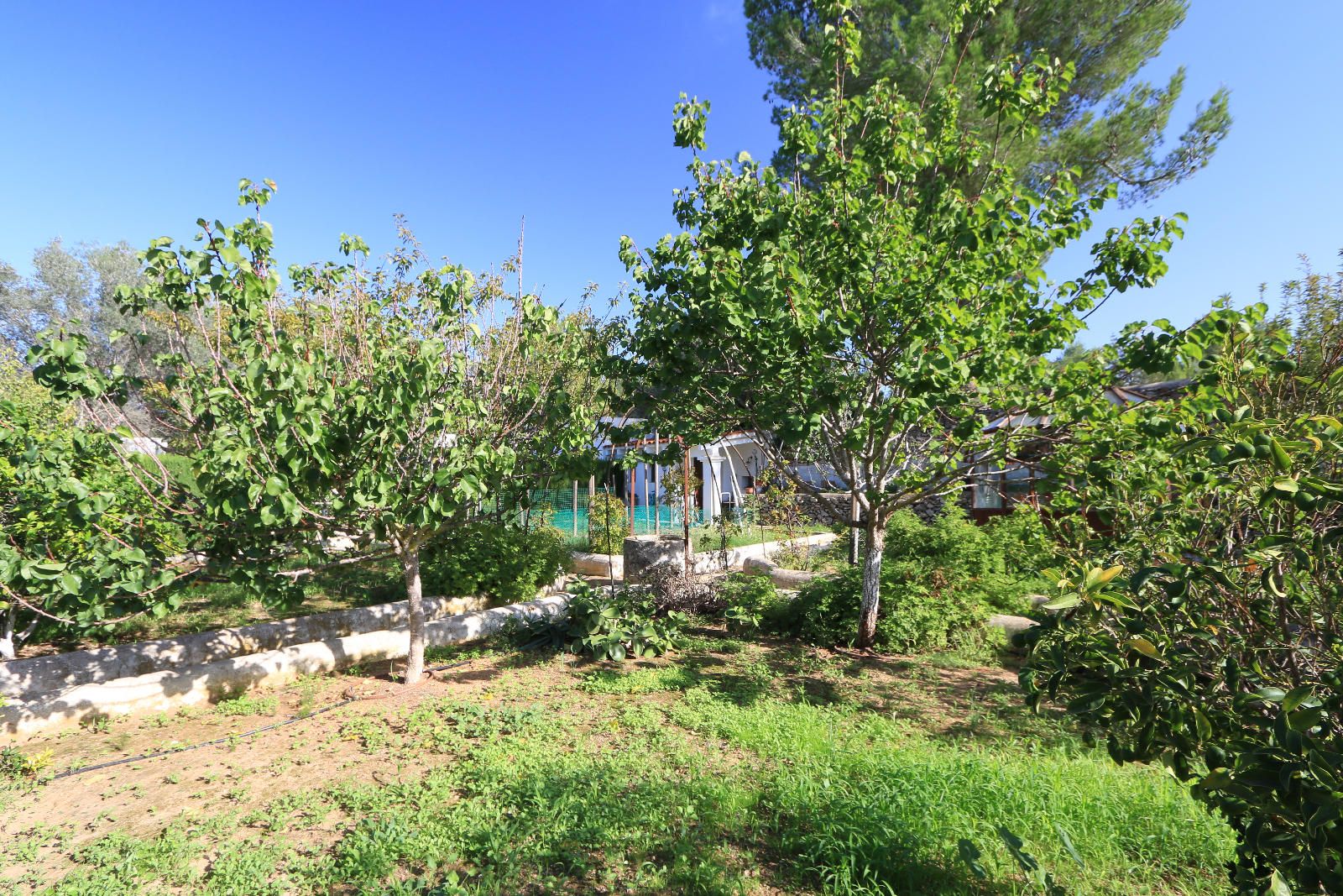 Villa à vendre à Ibiza 42