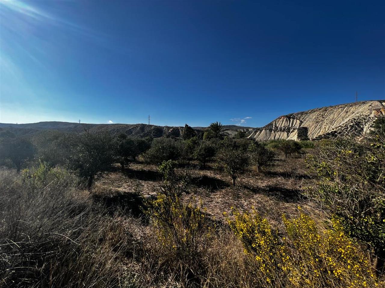 Reihenhaus zum Verkauf in Almería and surroundings 9