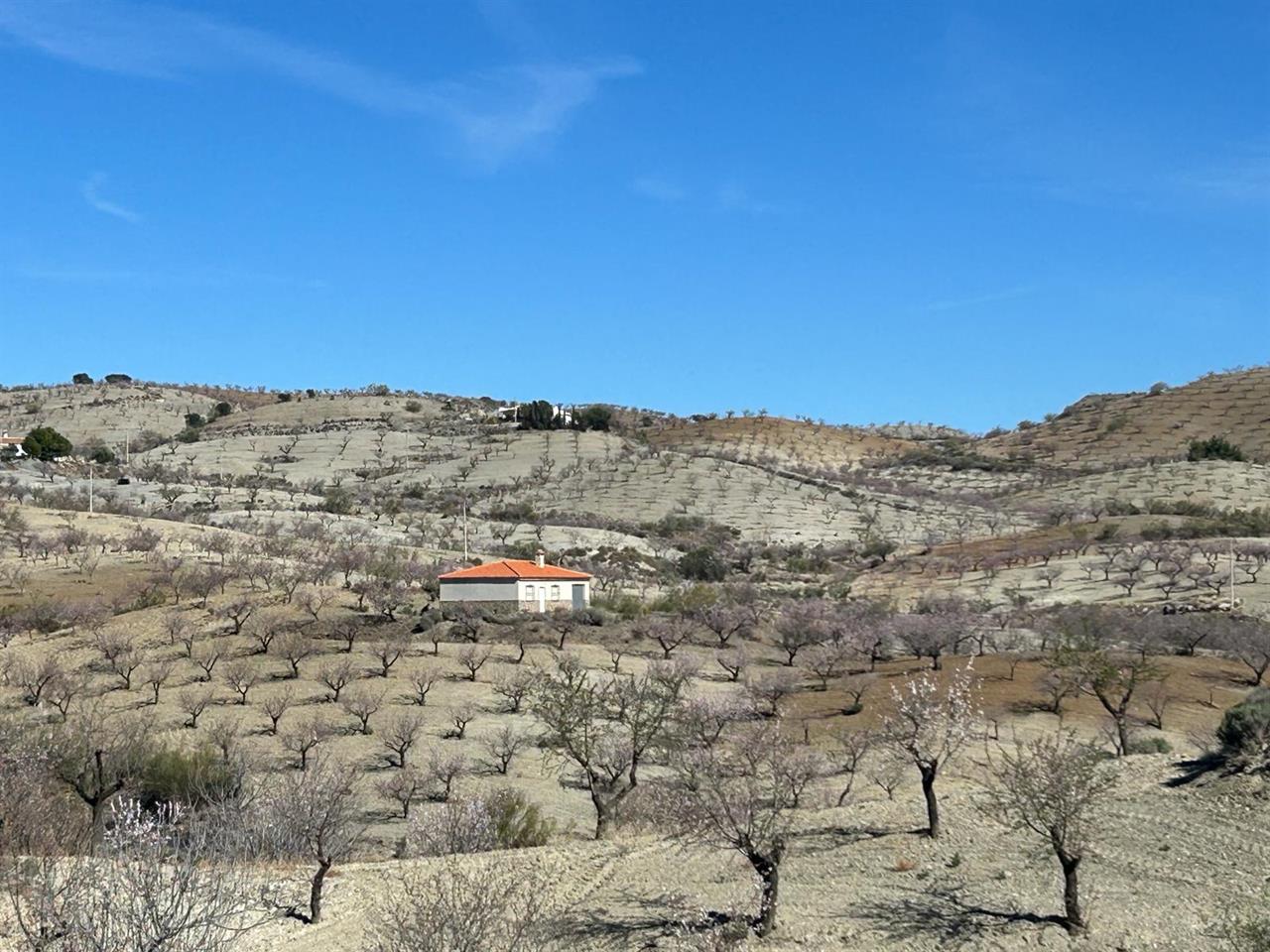 Haus zum Verkauf in Almería and surroundings 10