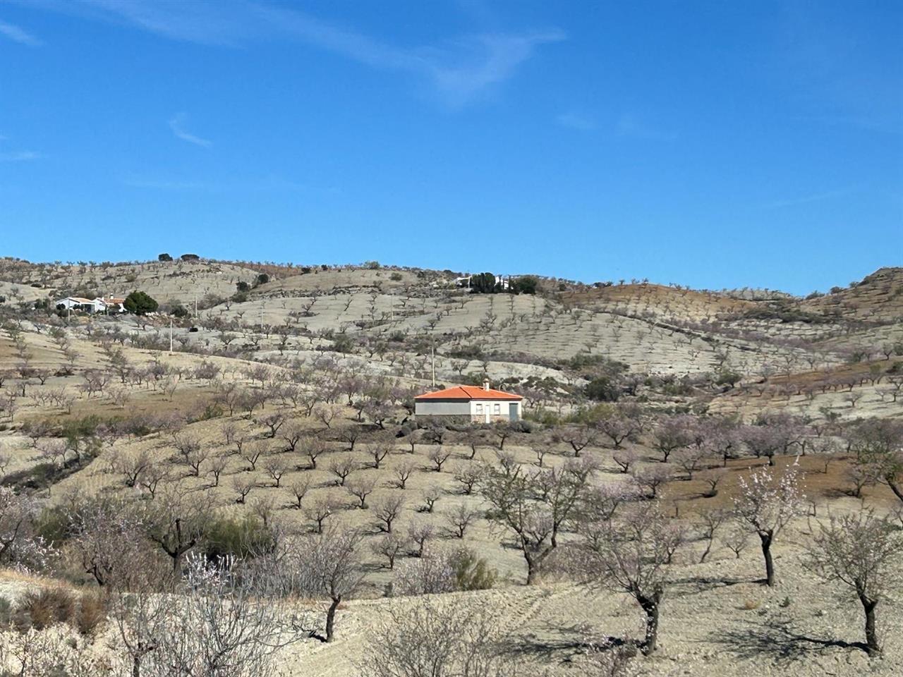 Haus zum Verkauf in Almería and surroundings 11