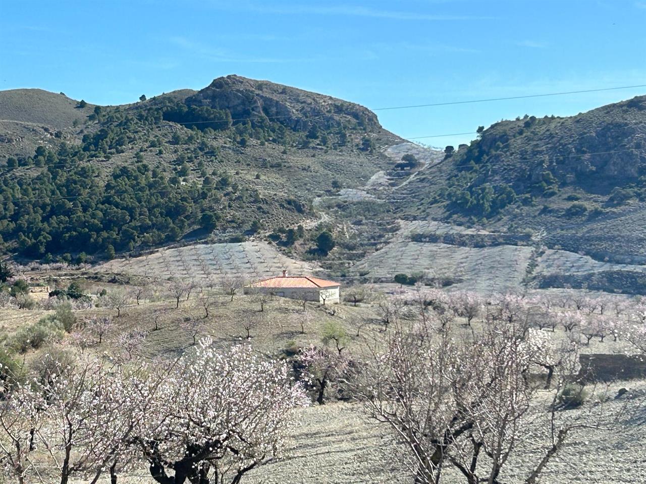 Haus zum Verkauf in Almería and surroundings 12