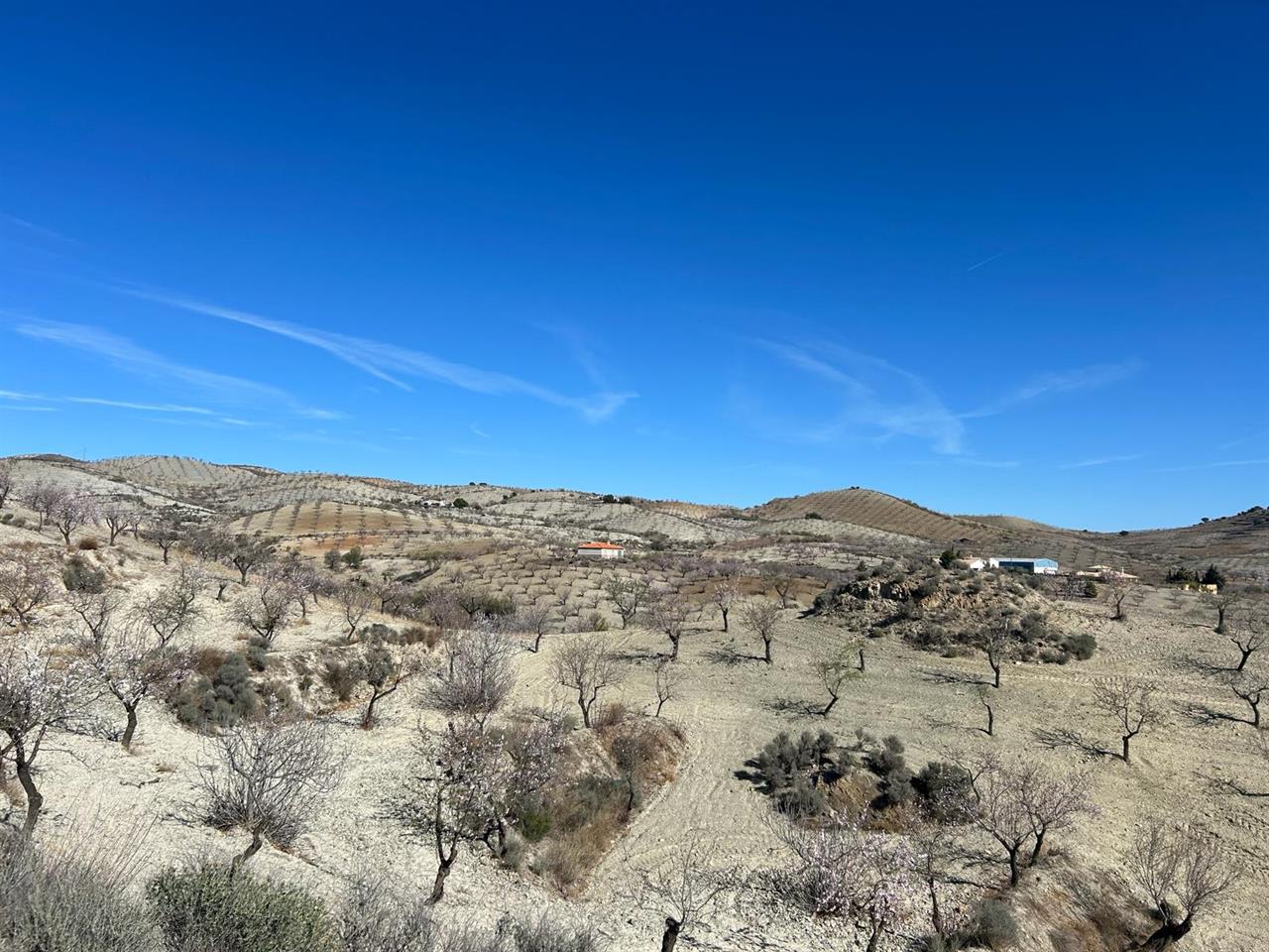 Haus zum Verkauf in Almería and surroundings 14