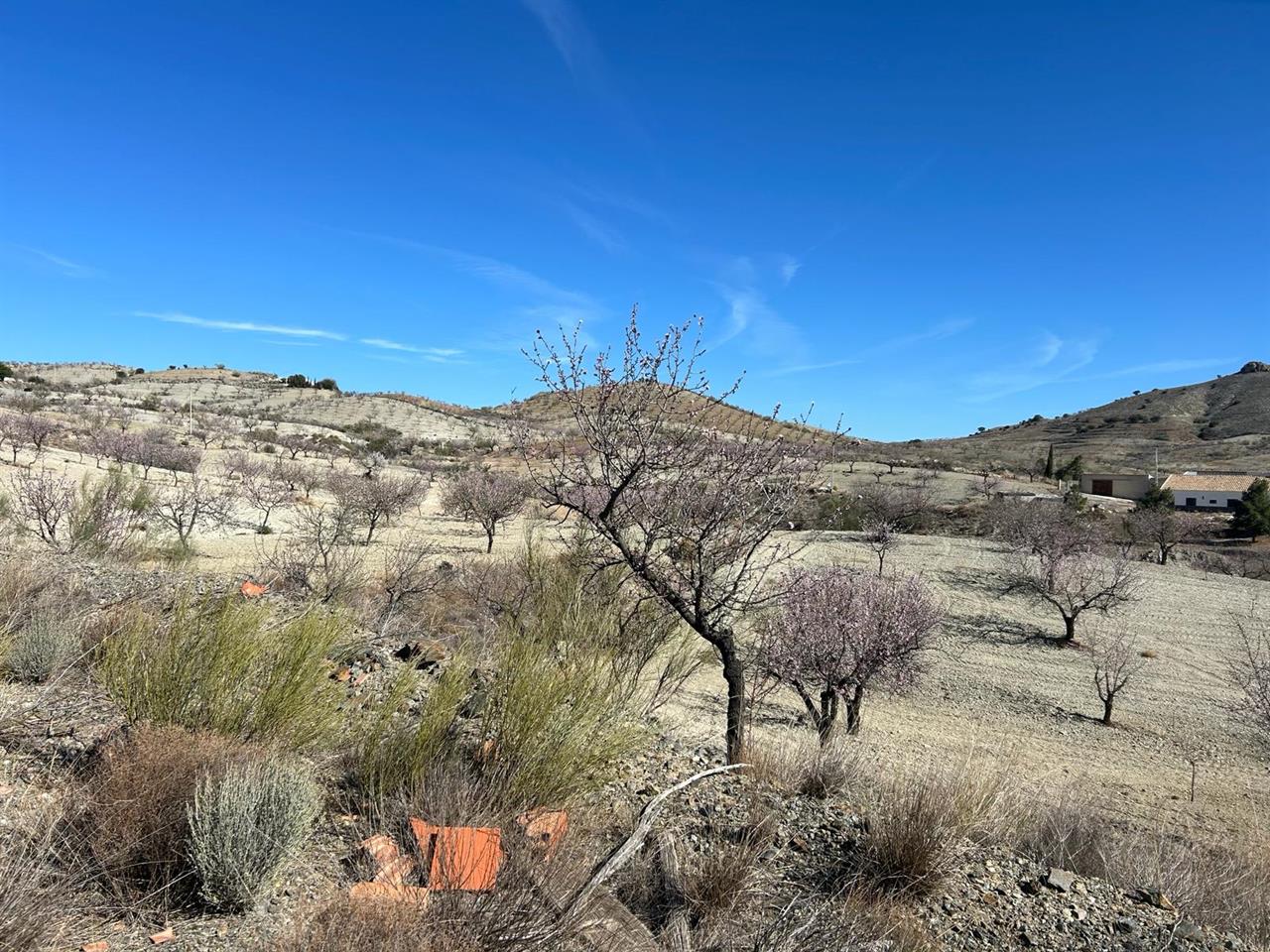 Haus zum Verkauf in Almería and surroundings 17