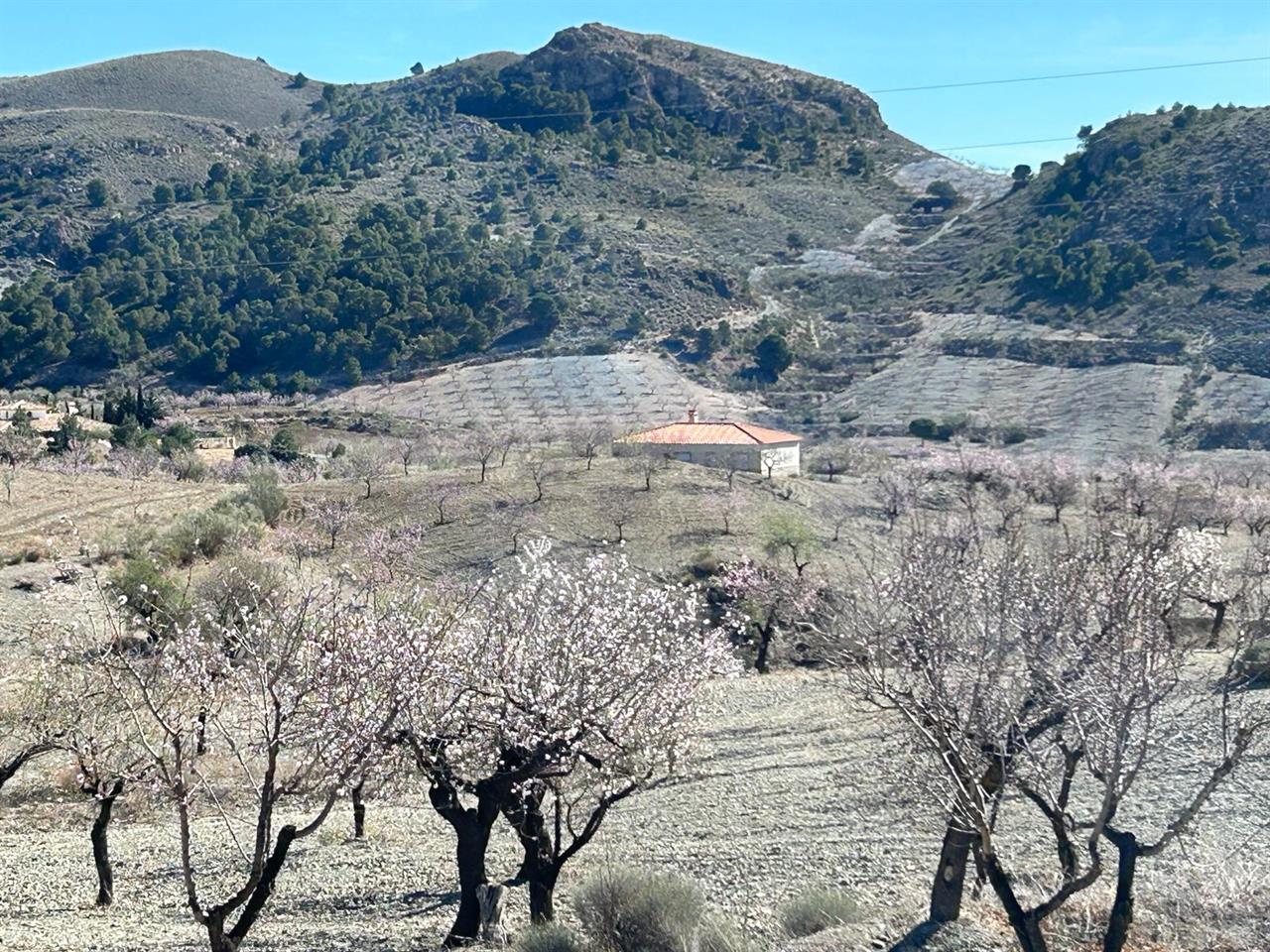 Villa till salu i Almería and surroundings 9