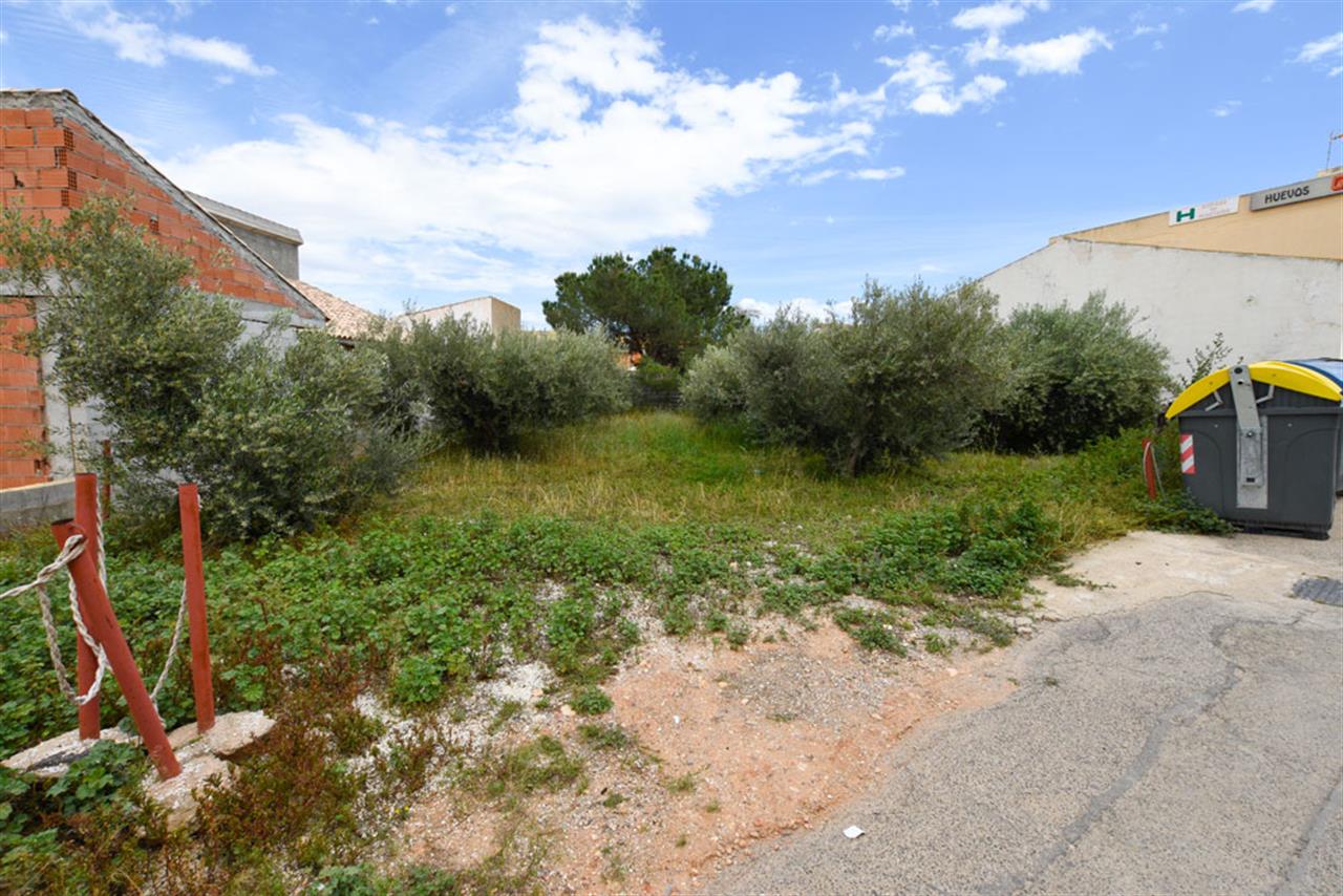 Plot for sale in Vera and surroundings 6