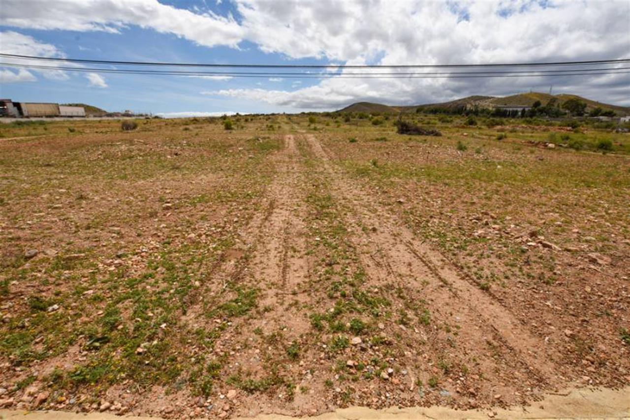 Property Image 621810-guazamara-plot