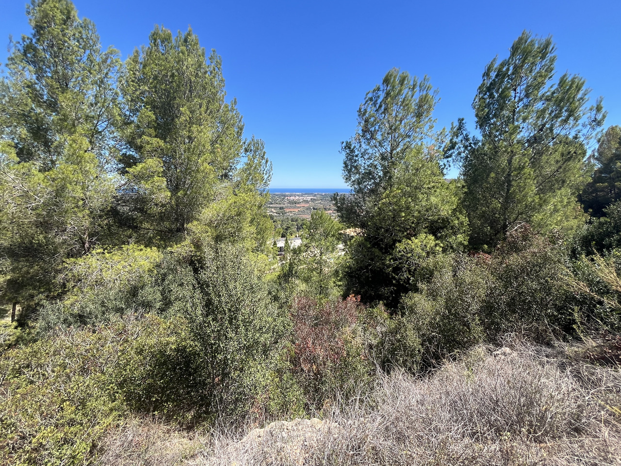 Plot à vendre à Jávea and surroundings 4