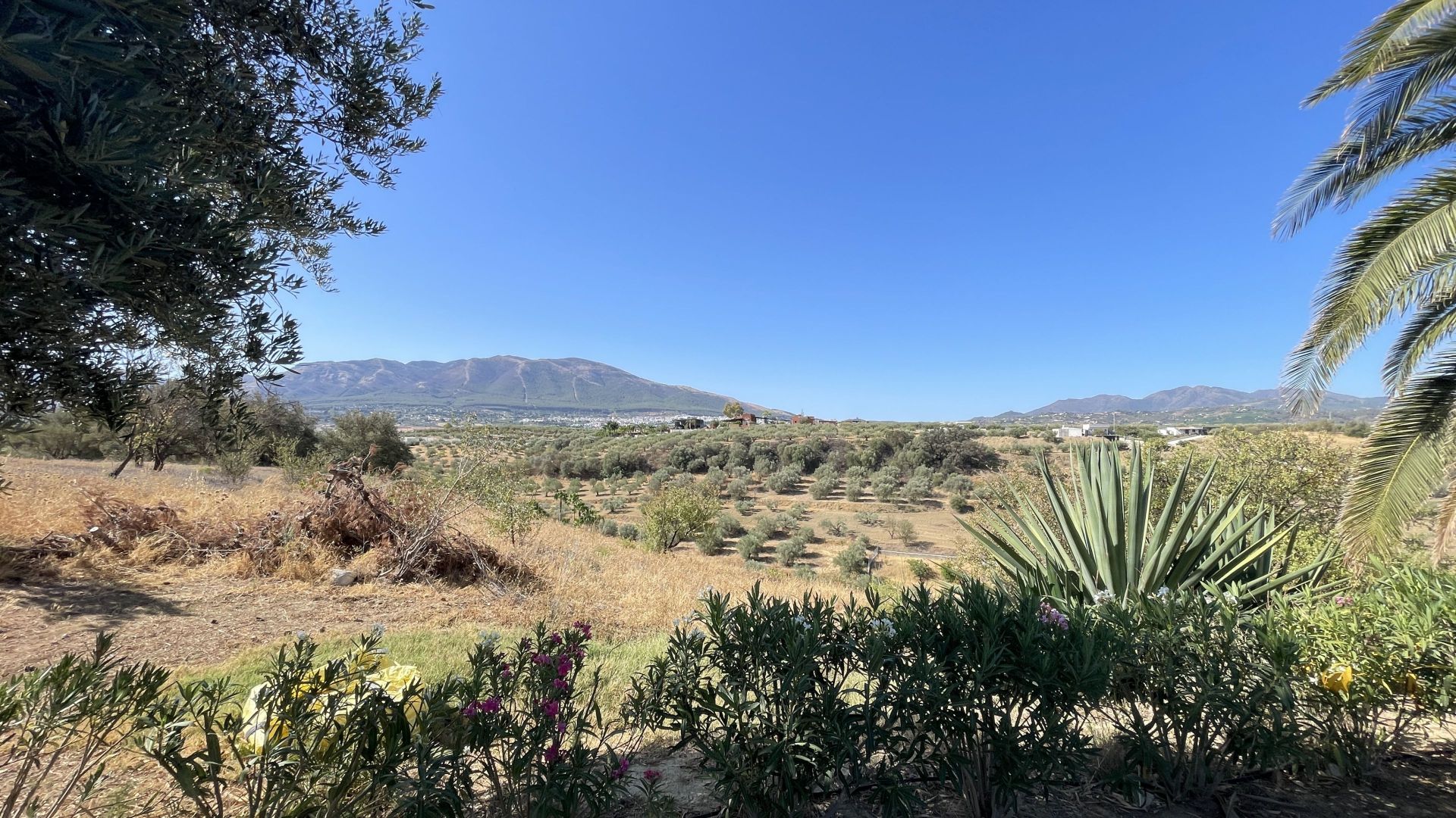 Maison de campagne à vendre à Alhaurín 33