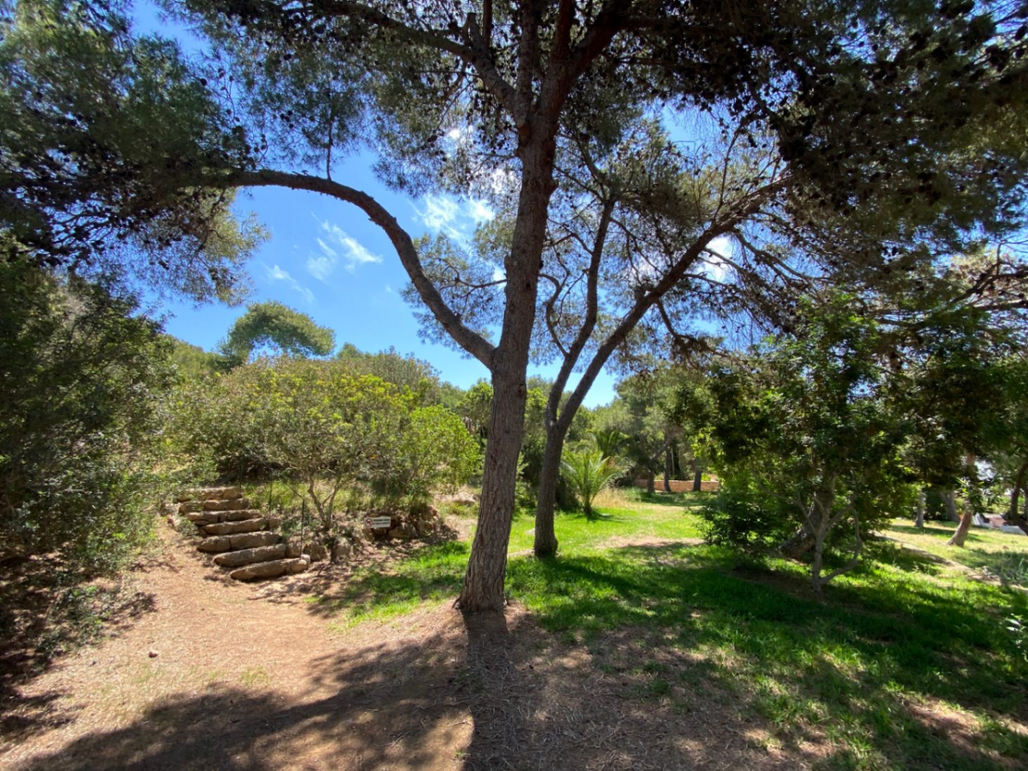 Villa te koop in Ibiza 27