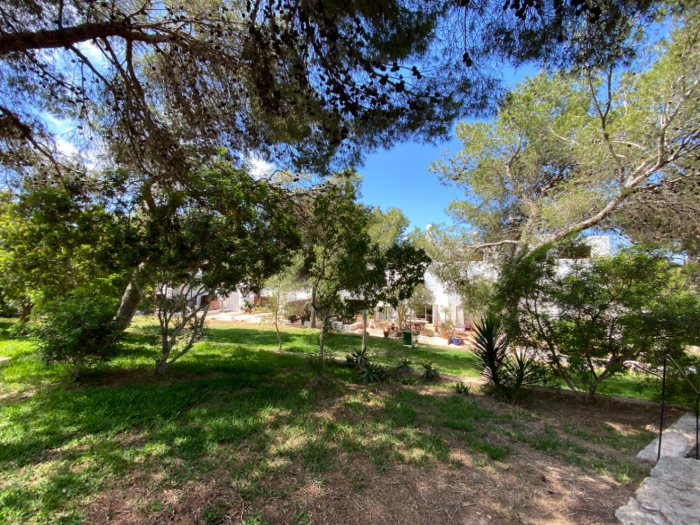 Villa à vendre à Ibiza 3