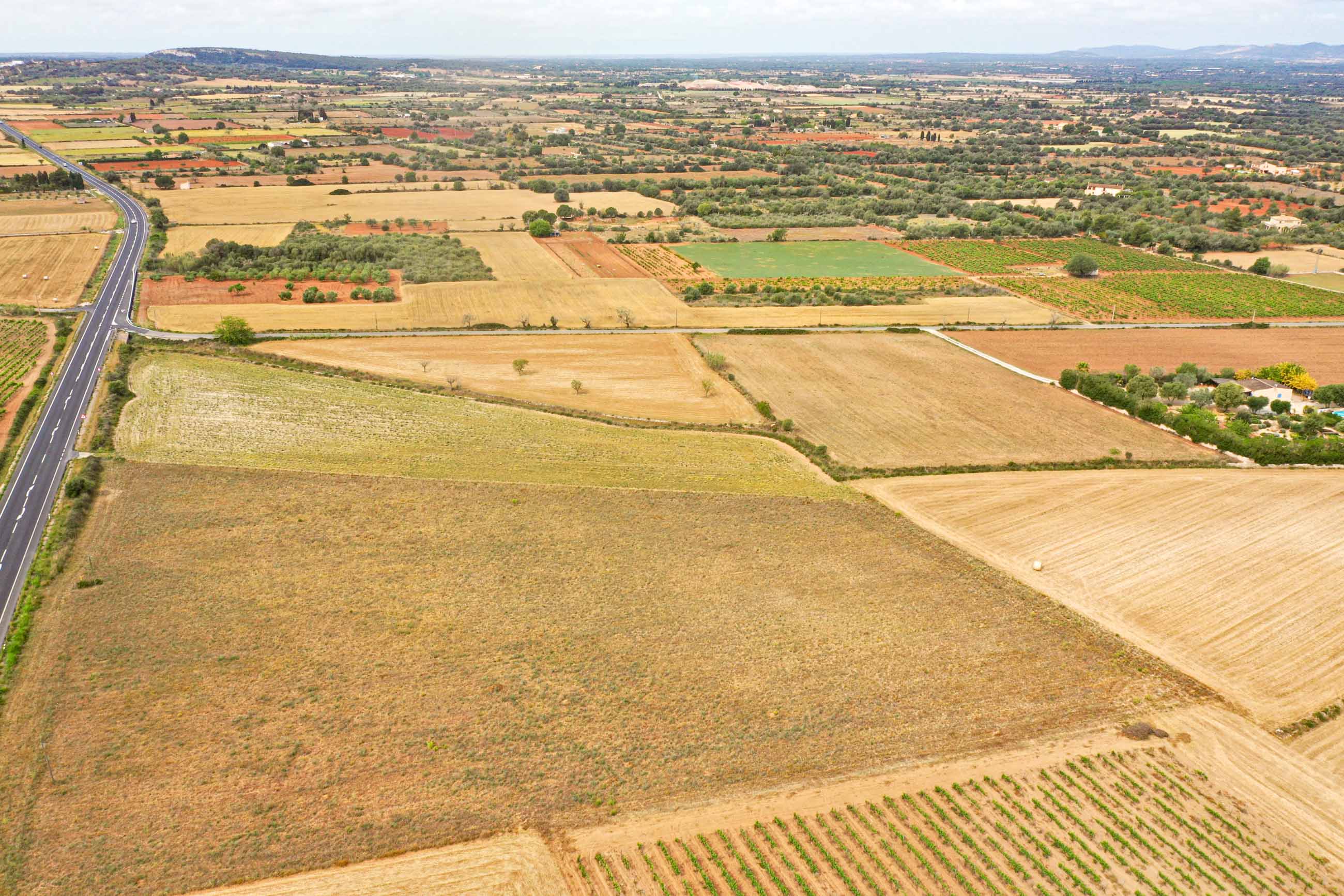 Plot for sale in Mallorca East 3