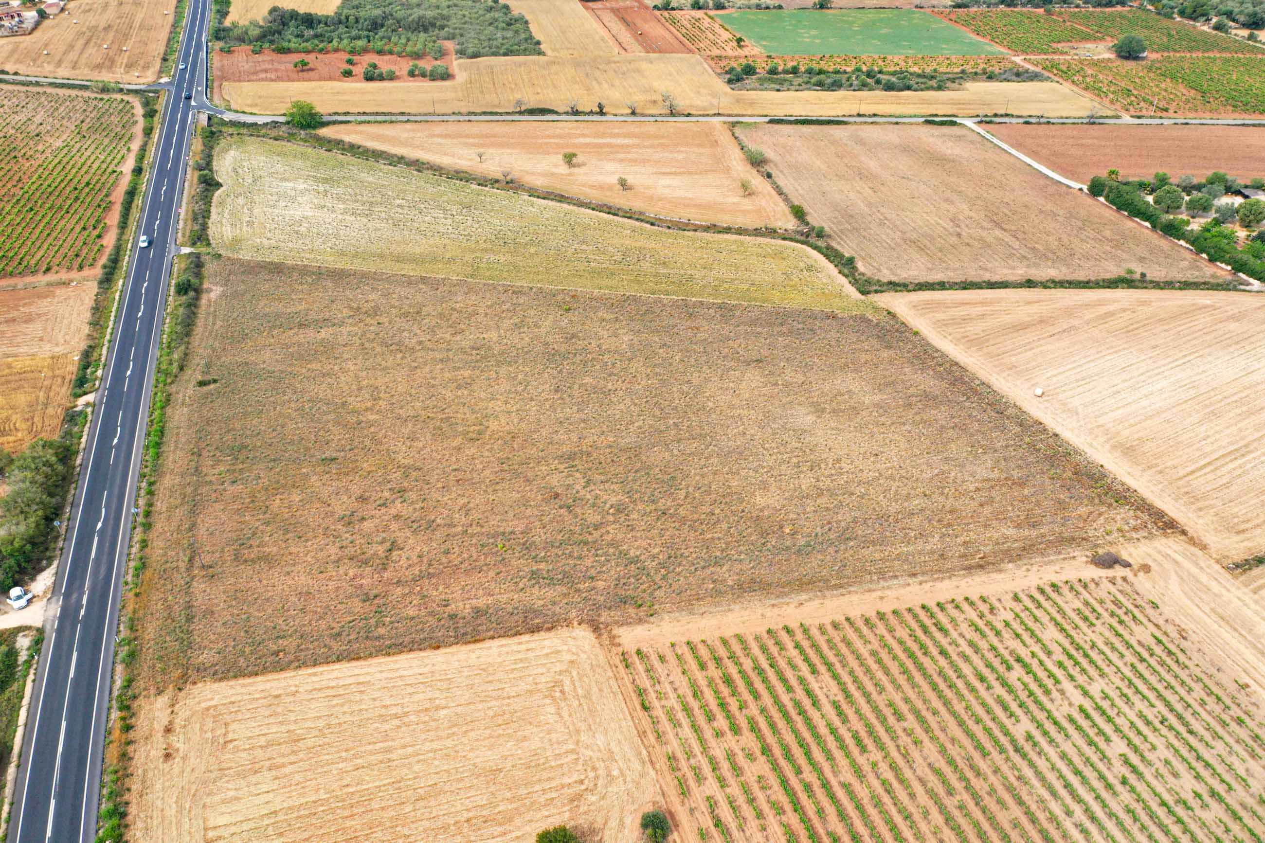 Działka na sprzedaż w Mallorca East 6