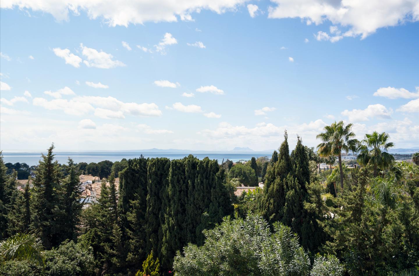 Haus zum Verkauf in Estepona 21