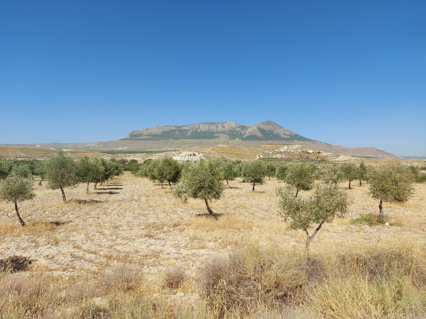 Haus zum Verkauf in Granada and surroundings 14