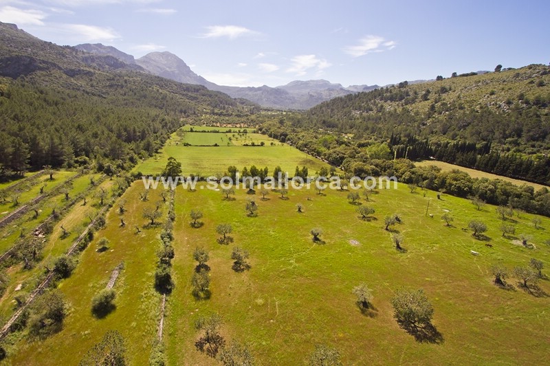 Hus på landet till salu i Mallorca North 1