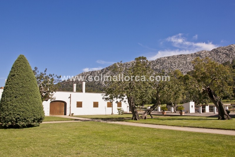 Countryhome te koop in Mallorca North 11