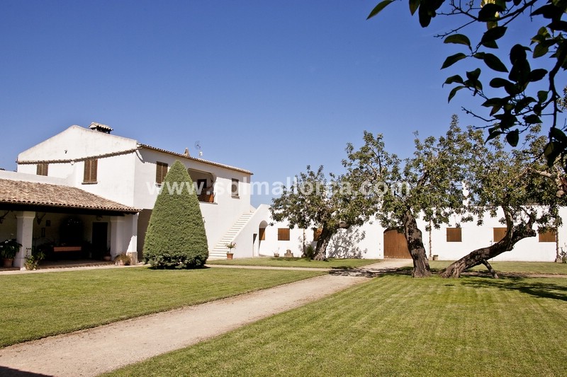 Countryhome te koop in Mallorca North 4