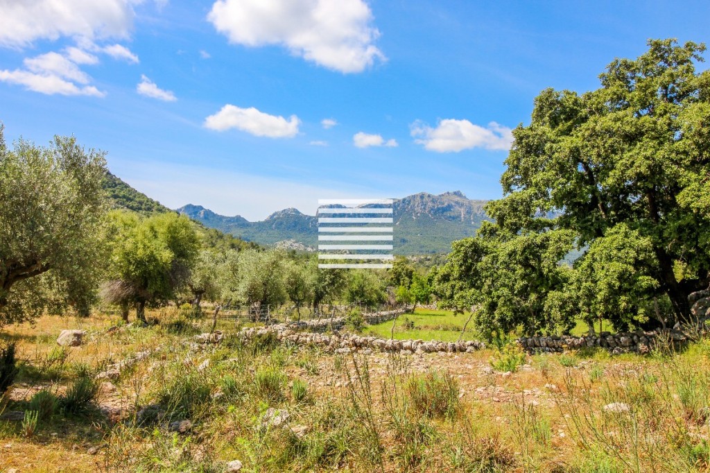 Chalé en venta en Mallorca East 2