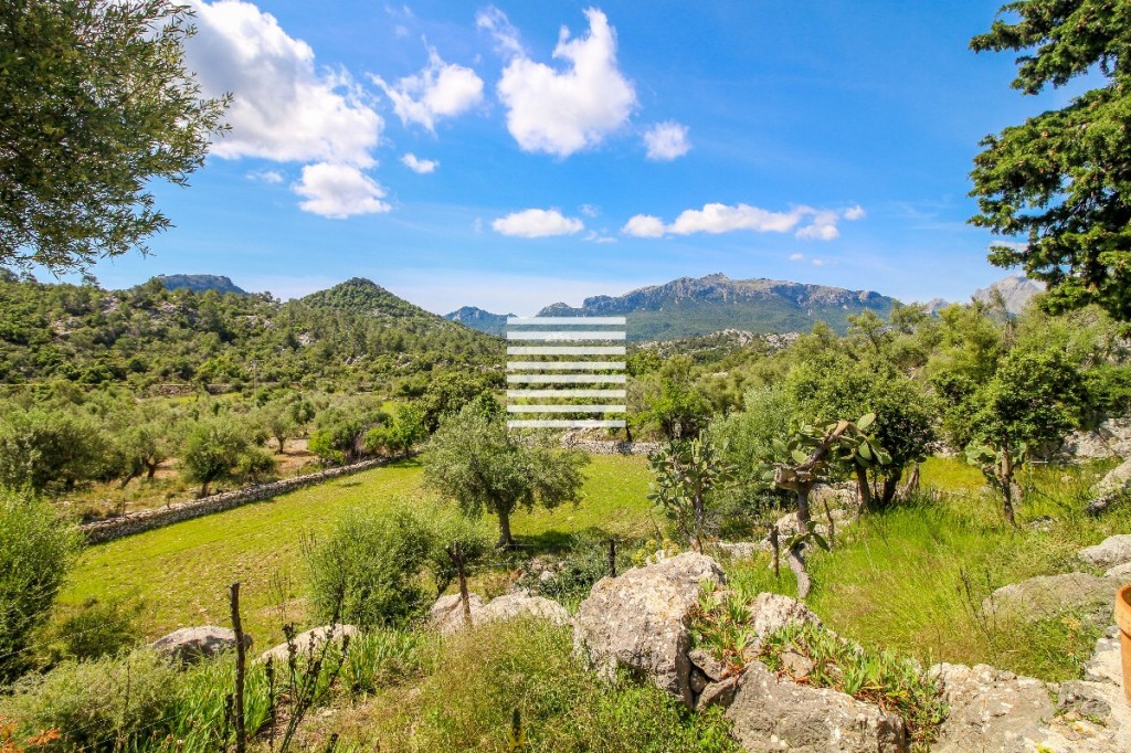 Villa for sale in Mallorca East 6