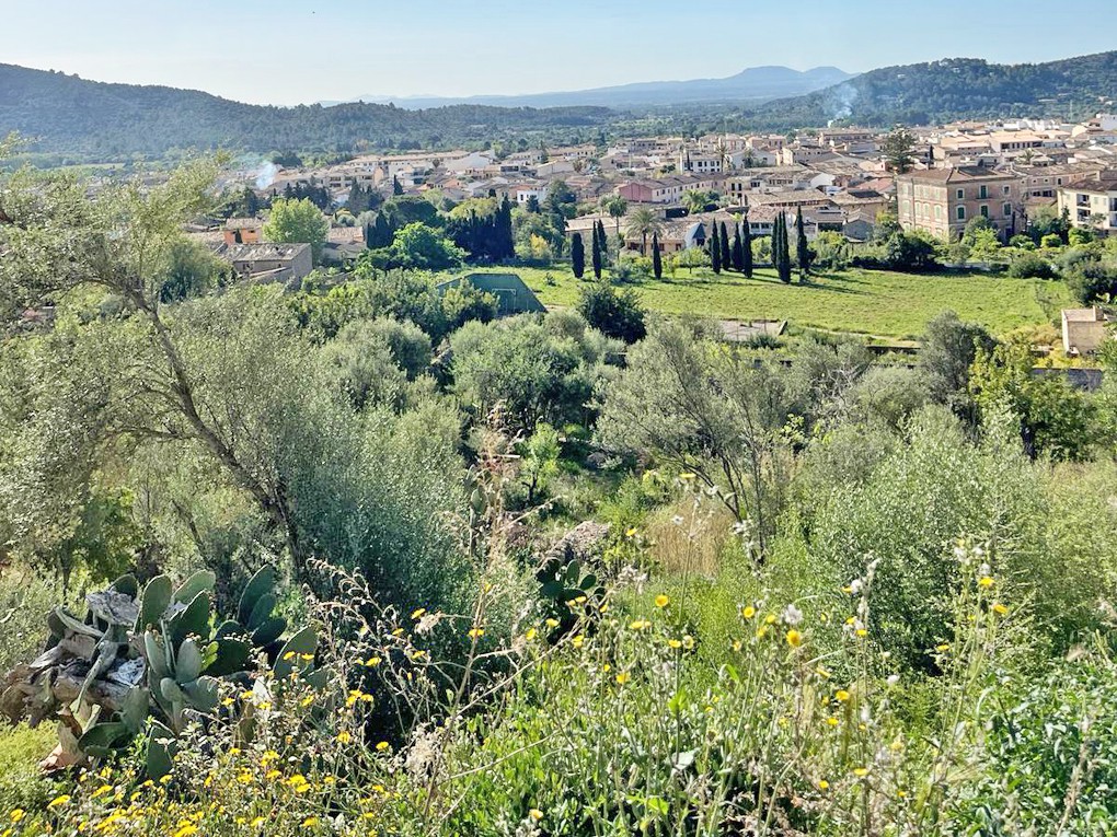 Plot for sale in Mallorca East 3