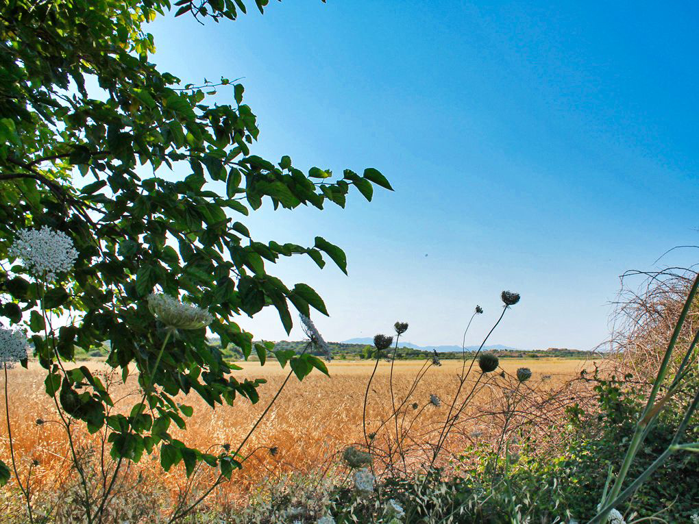 Działka na sprzedaż w Mallorca East 1