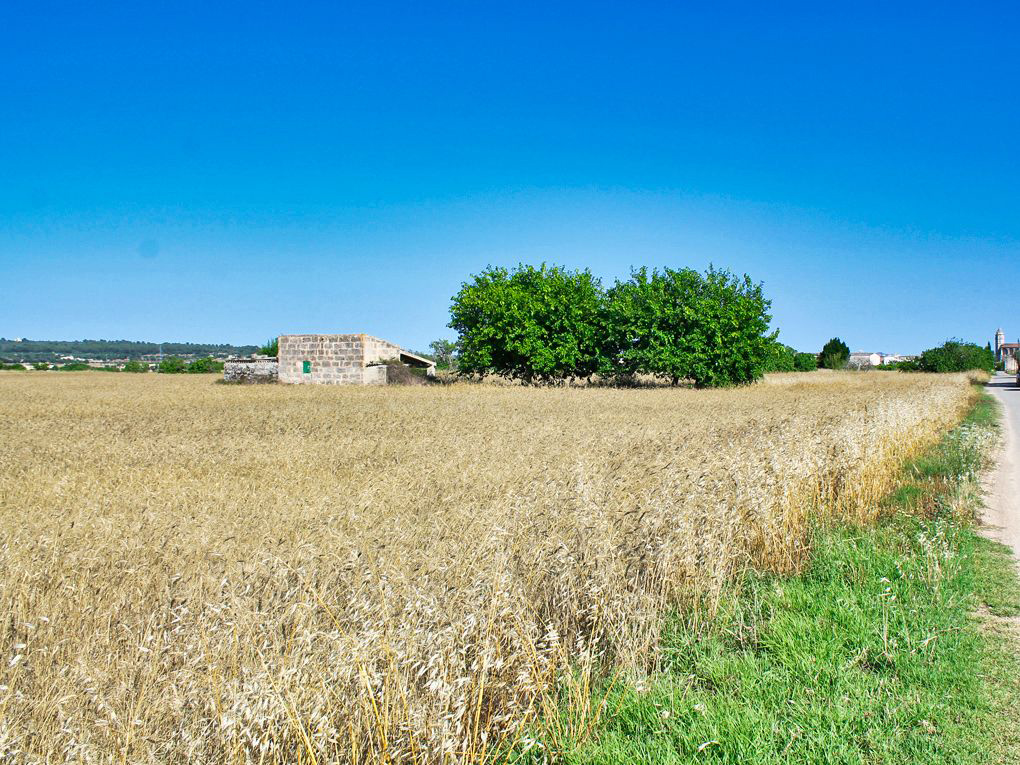 Plot zum Verkauf in Mallorca East 2