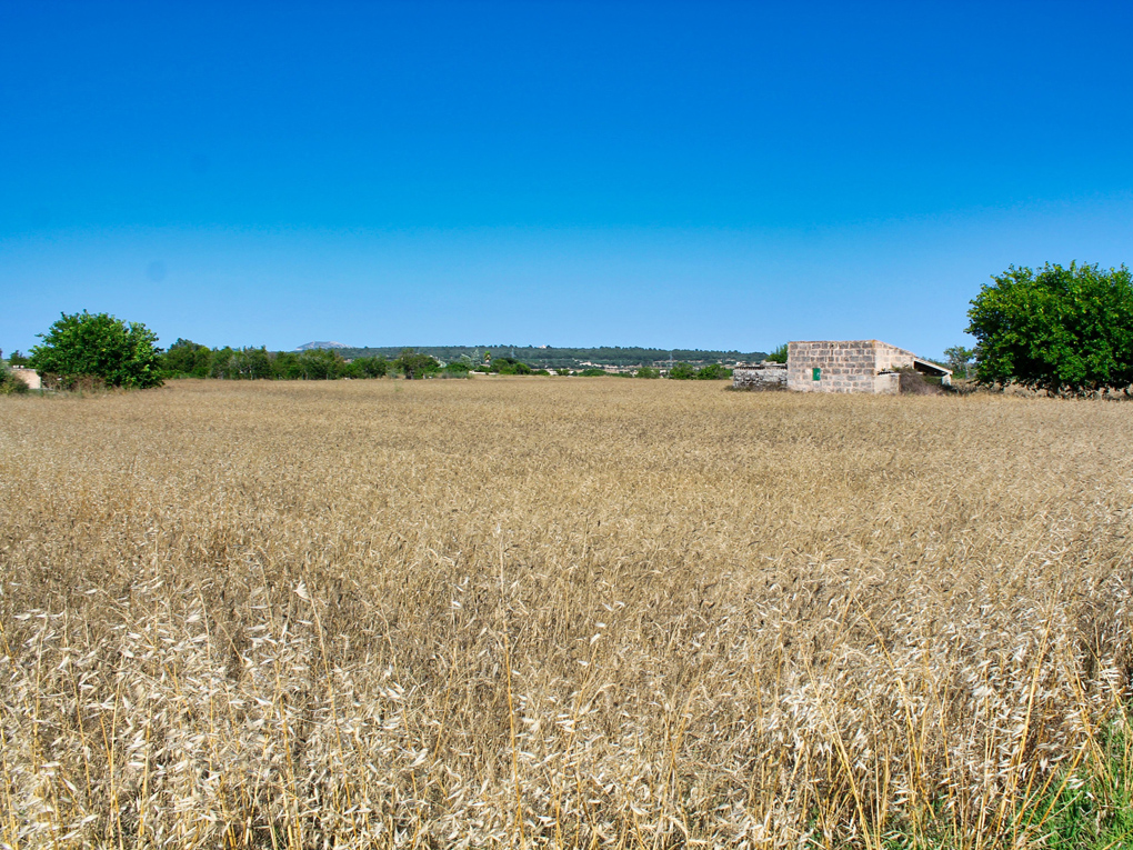 Plot for sale in Mallorca East 3