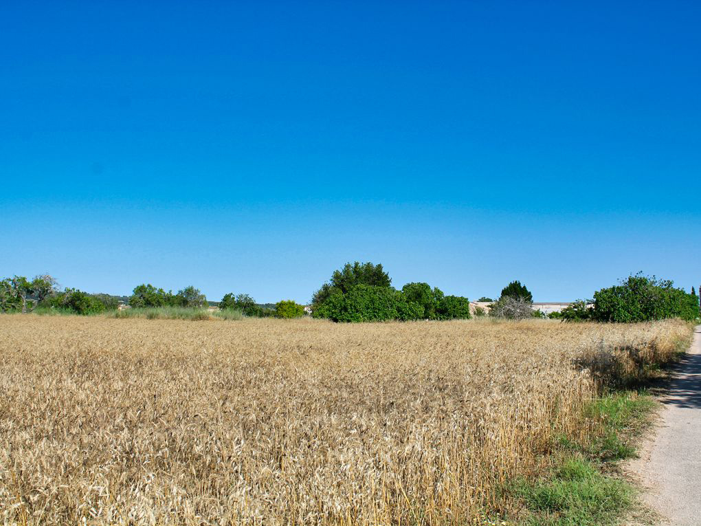 Plot zum Verkauf in Mallorca East 4