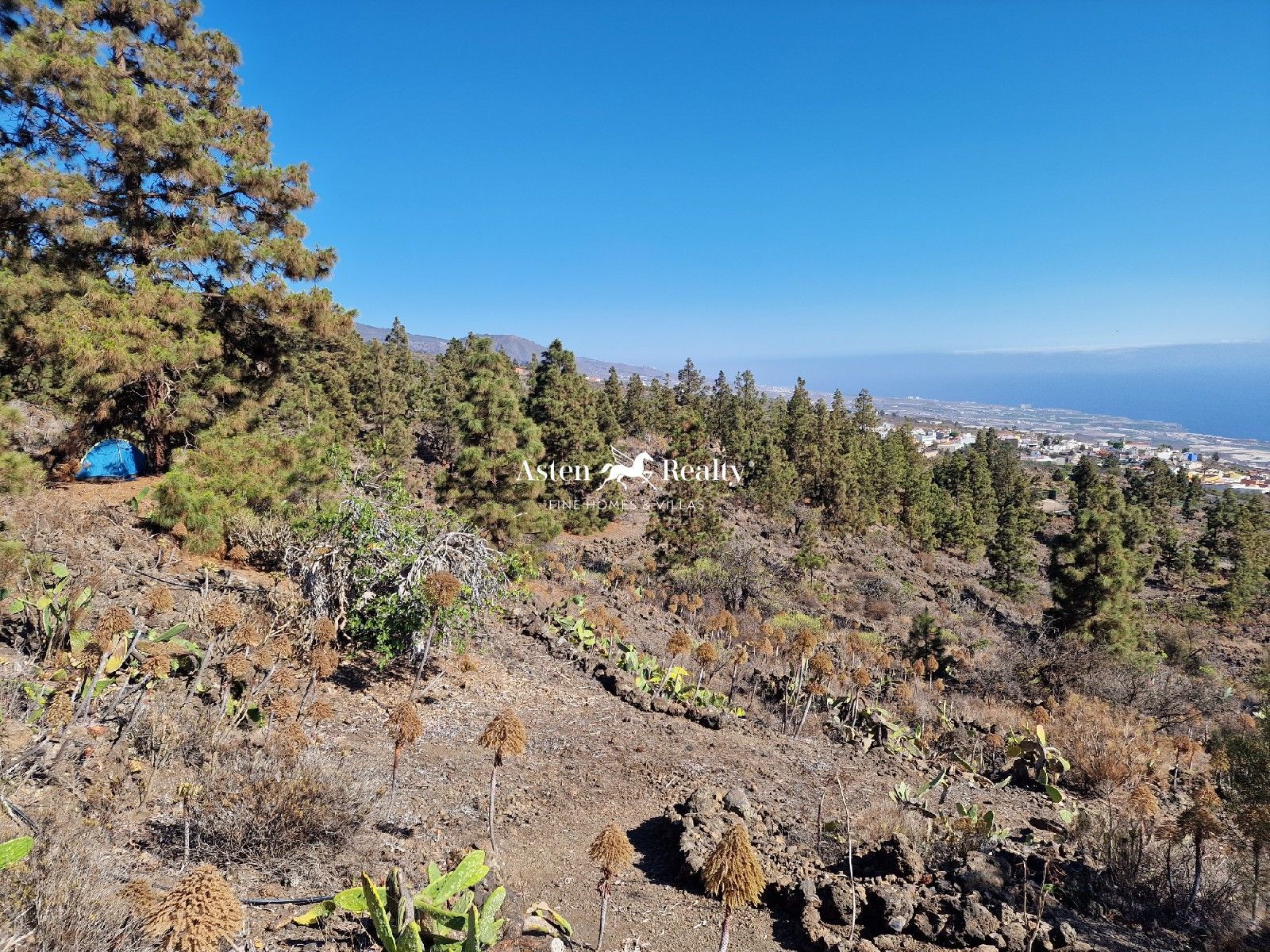 Plot à vendre à Tenerife 15