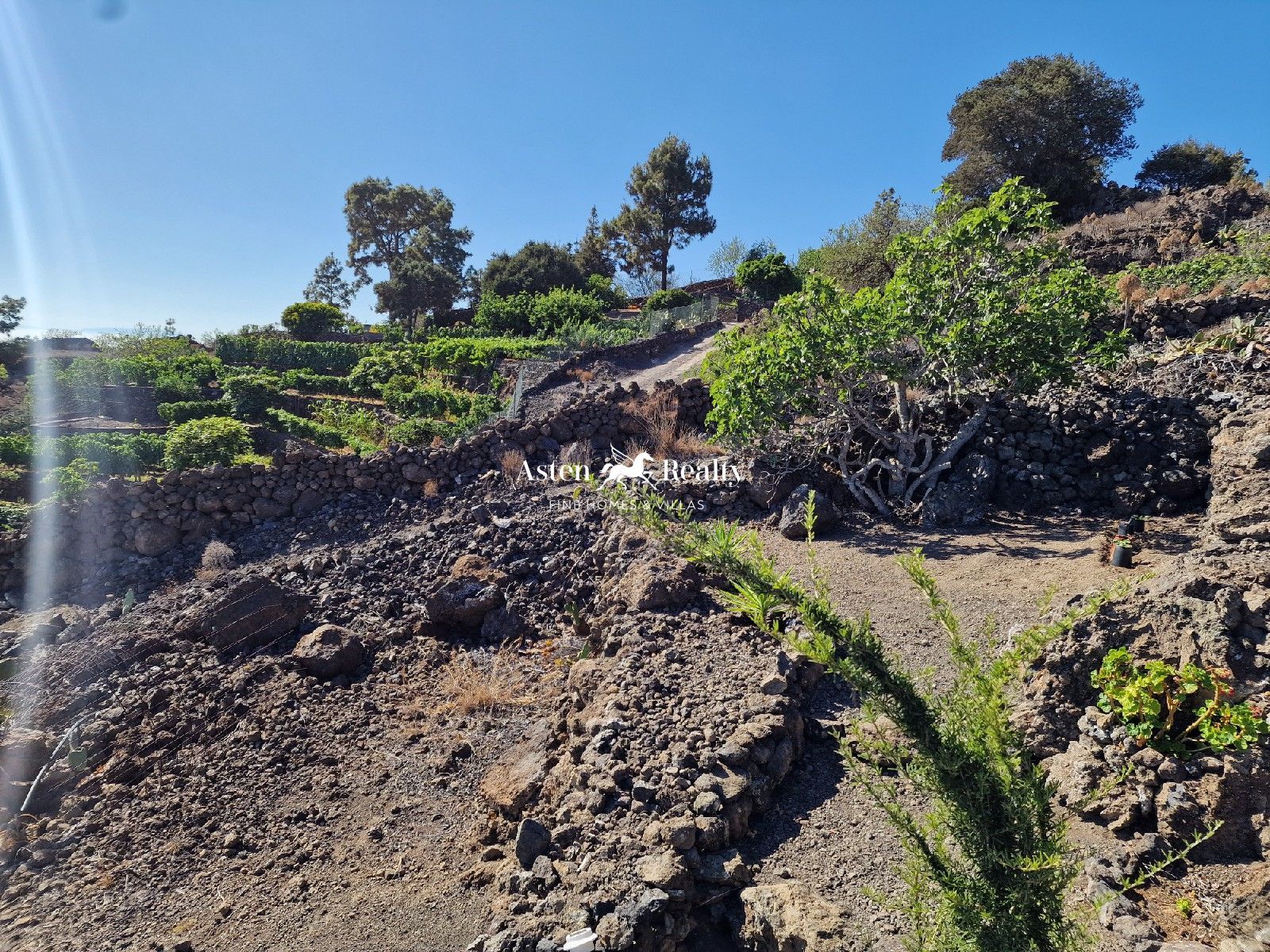 Plot zum Verkauf in Tenerife 17