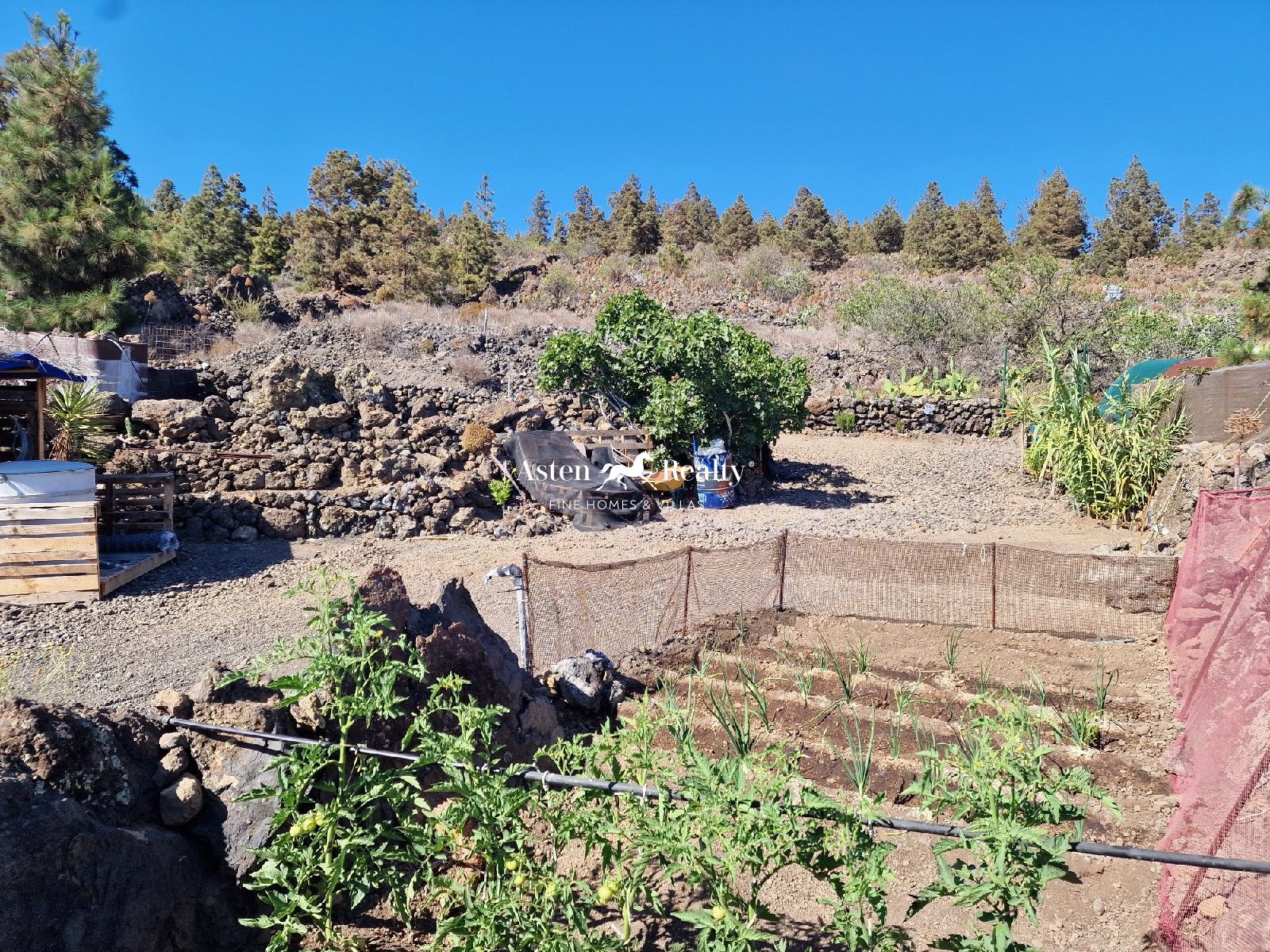 Plot zum Verkauf in Tenerife 18