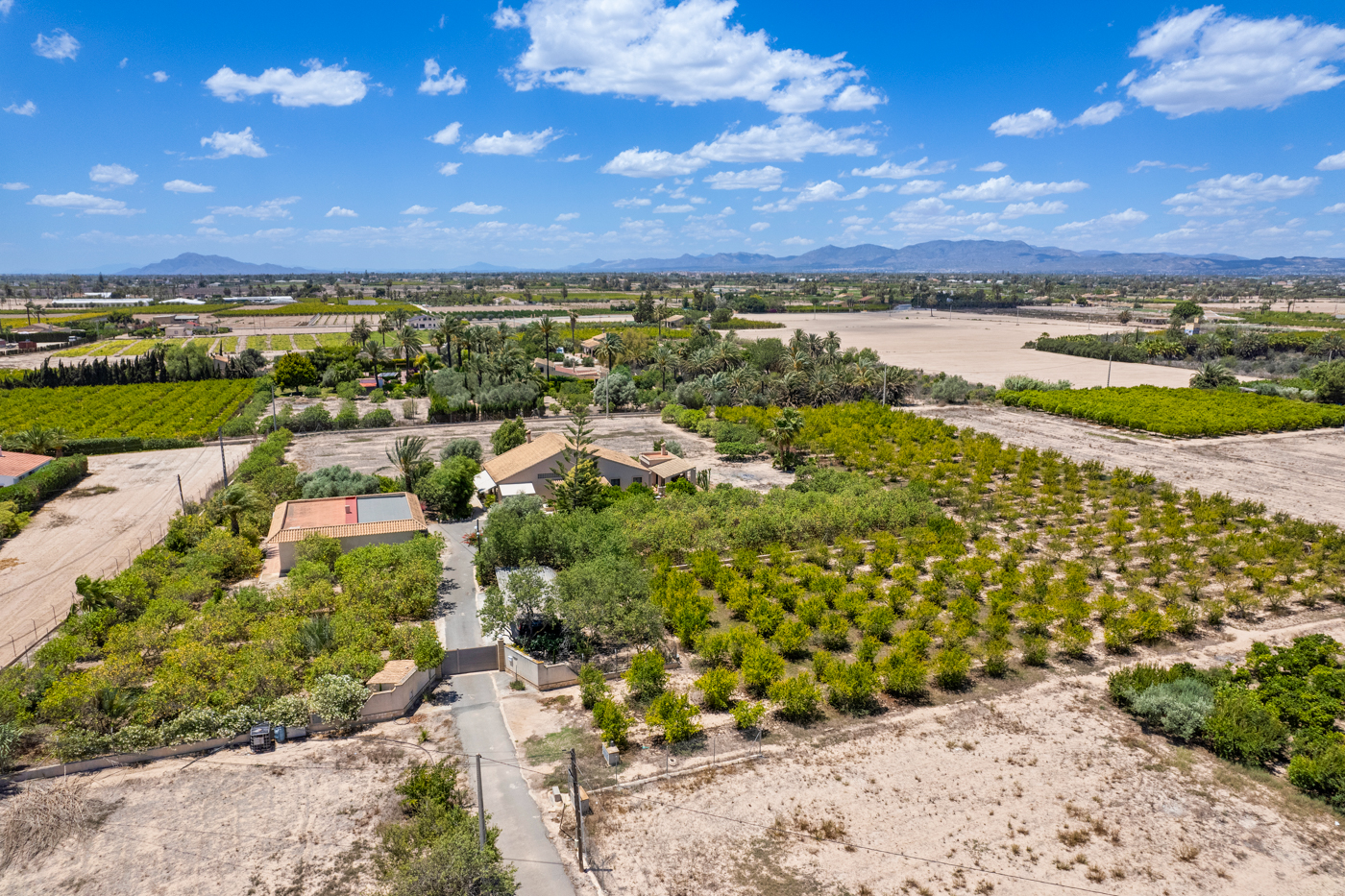 Maison de campagne à vendre à Elche 2